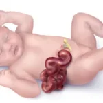 7fd7cdc88409c1e6589fa0eb62264e7f-150x150